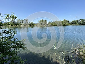 Summer atmosphere in the Old Rhine Nature Park, Lustenau - Vorfruehlings Stimmung im Naturpark Alter Rhein