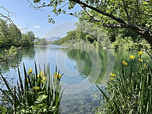 Sommer Atmosphäre alt natur ändern 