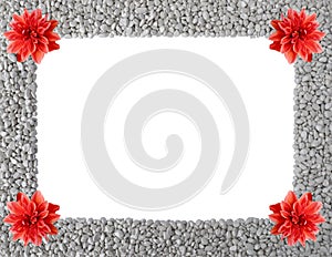 Natural isolated frame of grey pebbles with Dahlia flowers in corners,copy space