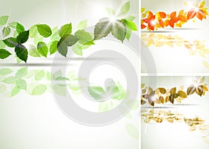 Summer and autumn leaves photo