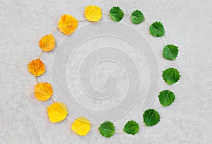 Summer and autumn leaves circle