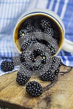 Summer/autumn seasonal fruit harvest concept. Blackberries