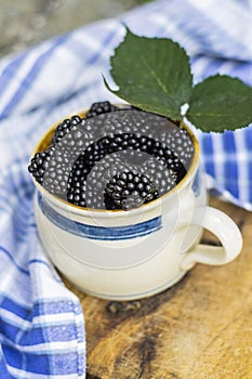 Summer/autumn seasonal fruit harvest concept. Blackberries
