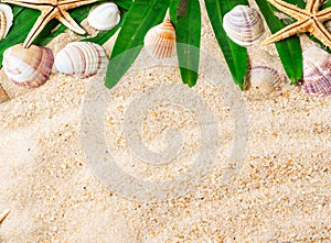 Summer background with beach sand, starfish coconut leaves, and shell decoration hanging on wooden background