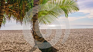 Summer background of coconut palm trees beach front at beautiful sandy beach nature landscape of blue sky and clouds Sunset light