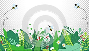 Summer background with colorful green leaves, bees and flowers on white background