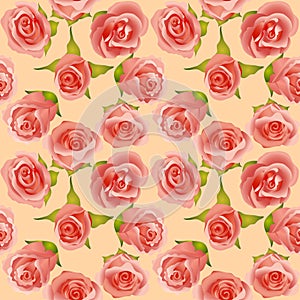 Summer background with delicate roses