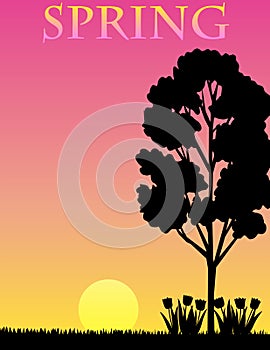 Summer Background/eps