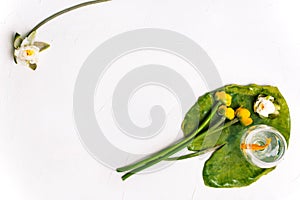 Summer background. Fresh flowers on a white background. Yellow and white water lilies and a glass goblet with a goldfish. Aquatic