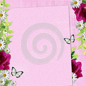 Summer background with the fresia, daisy