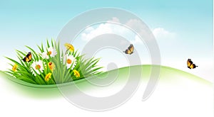 Summer background with grass, flowers and butterflies.