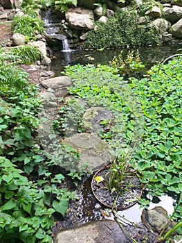 summer background: lake among stones and leaves, waterfall in the background