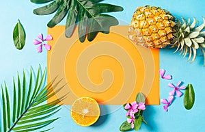 Summer background with orange, pineapple, flower and leaf on blue background