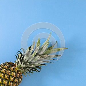 Summer background with organic tropic pineapple on pastel blue theme. Flat lay fruit minimal