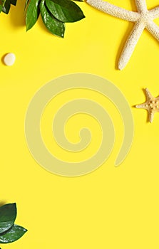 Summer background. Palm leaf, starfish and pebble on yellow background. Travel.