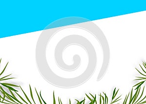 Summer Background,Palm leaves Frame Border on Blue and White for Cosmetic Product Background ,Banner Tropical plant for Template