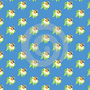 Summer background peonies bee Blue seamless pattern spring white green meadow flower ornament wrapping fabric wallpaper