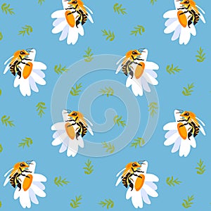 Summer background peonies dragonflyBlue seamless pattern spring white meadow flower green leaves ornament wrapping
