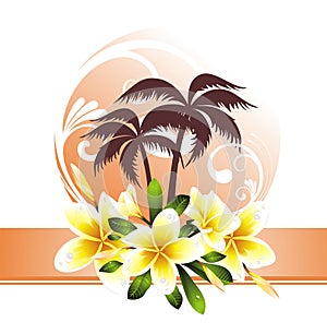 Summer background with plumeria