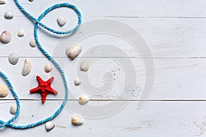 Summer background red starfish and seashells on blue wooden background. Summer vacation background with copy space