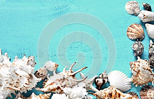 Summer background, sea shells on turquoise blue wood, top view, copy space.