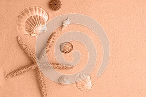 summer background. seashells border on sand