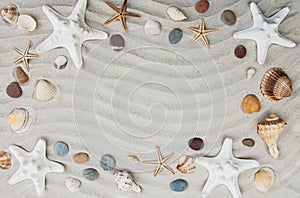 Seashells and starfish border