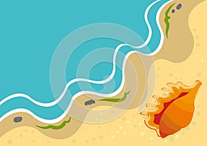 Summer background with shell on a beach