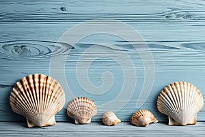 Shells blue wood background.