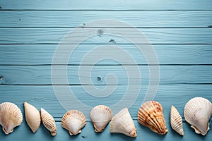 Shells blue wood background.