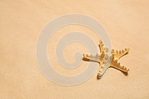 Summer background: starfish on the beach.