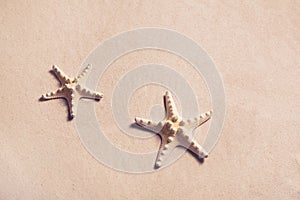 Summer background: starfish on the beach.