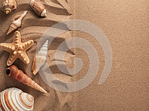 Summer background. Summer accessories, Summer concept . Starfish with sand as background.