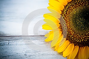 Summer background with sunflowers