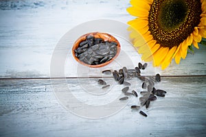 Summer background with sunflowers seeds