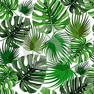 Tropical palm leaves, jungle leaves seamless vector floral pattern. photo