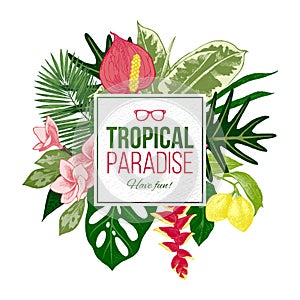 Summer background with tropical plants and flowers