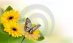 Summer background with yellow beautiful flowers and butterfly.