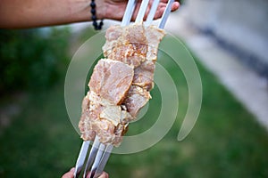 Summer Backyard Barbecue Featuring Hand-Threaded Kebabs Ready for Grilling