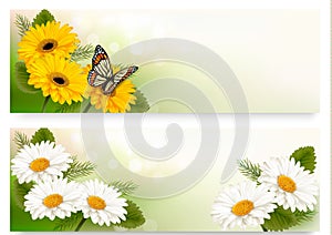 Summer banners with colorful flowers and butterfly.