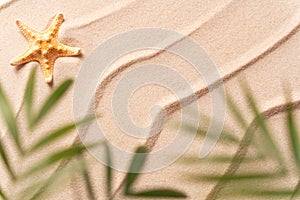 summer beach background with sea star and blurred Palm, vacation and travel concept,