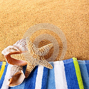 Summer beach border starfish seashore background square