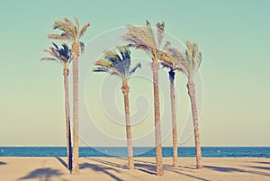 Summer beach landscape with palms, retro/vintage