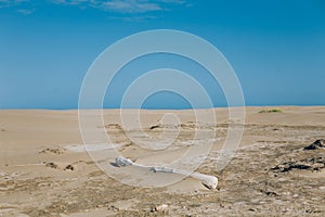 Summer Beach landscape