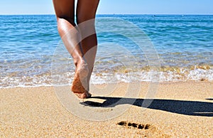 Summer, beach, leisure and body part concept - closeup of woman legs on sea, woman goes to the sea