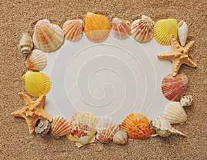 Summer beach letter with shells.