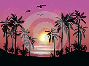 Summer beach night palm silhouettes on summer sunset with beautiful night sky background. Tropical sunset, summer