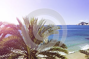 Summer beach - palm tree, rock , white sand, sea water, tropical nature