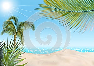 Summer Beach with Palms and Sea Background