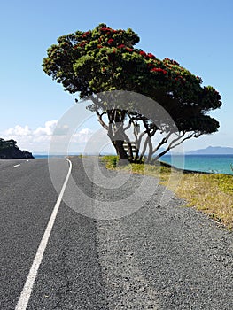 Summer: beach road ocean view photo